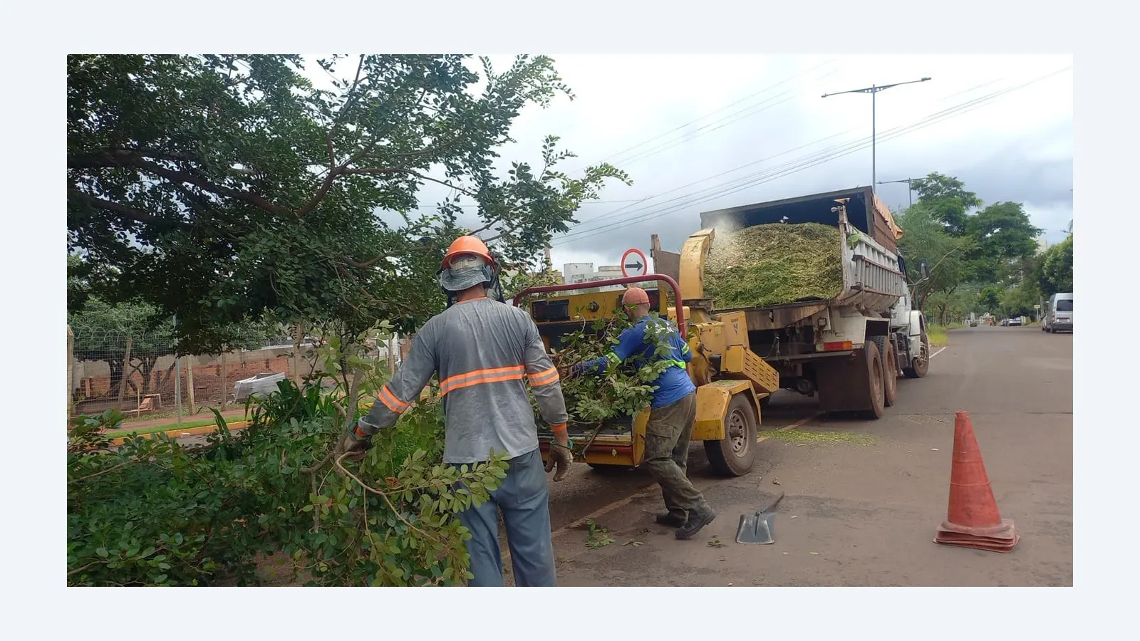 Campo Grande capacita equipes para prevenir quedas de árvores