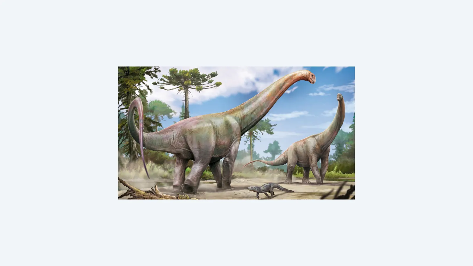Novo dinossauro de 20 metros é descoberto no Maranhão com parentes europeus