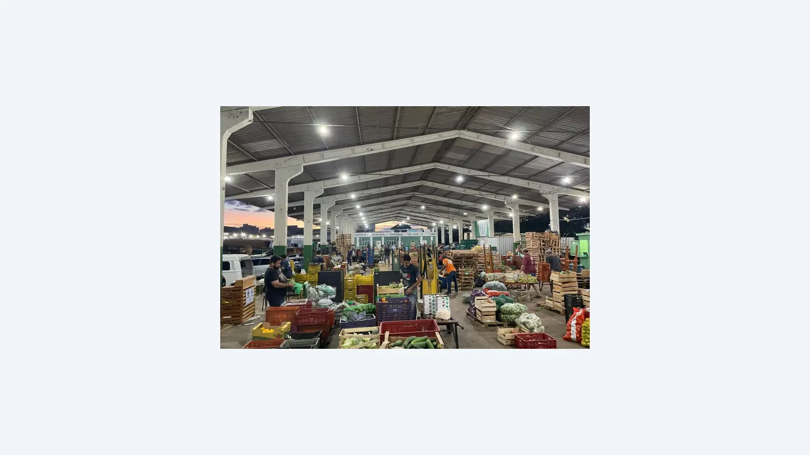 Como agricultores podem vender na Ceasa de Mato Grosso do Sul