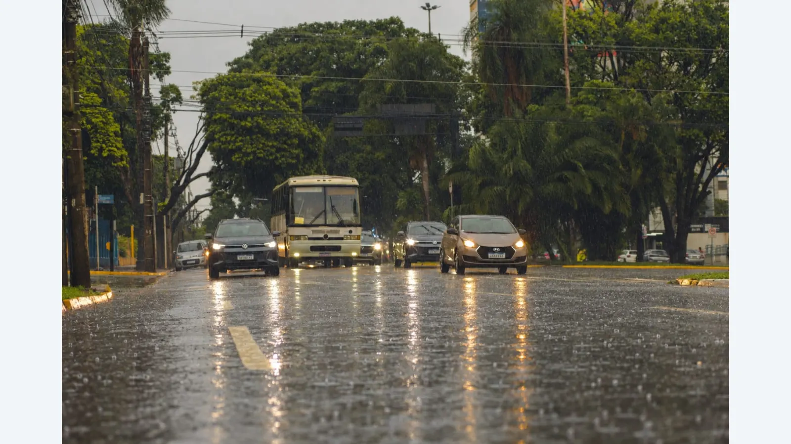 Campo Grande tem avisos de tempestade até sexta-feira (23); veja como receber alertas