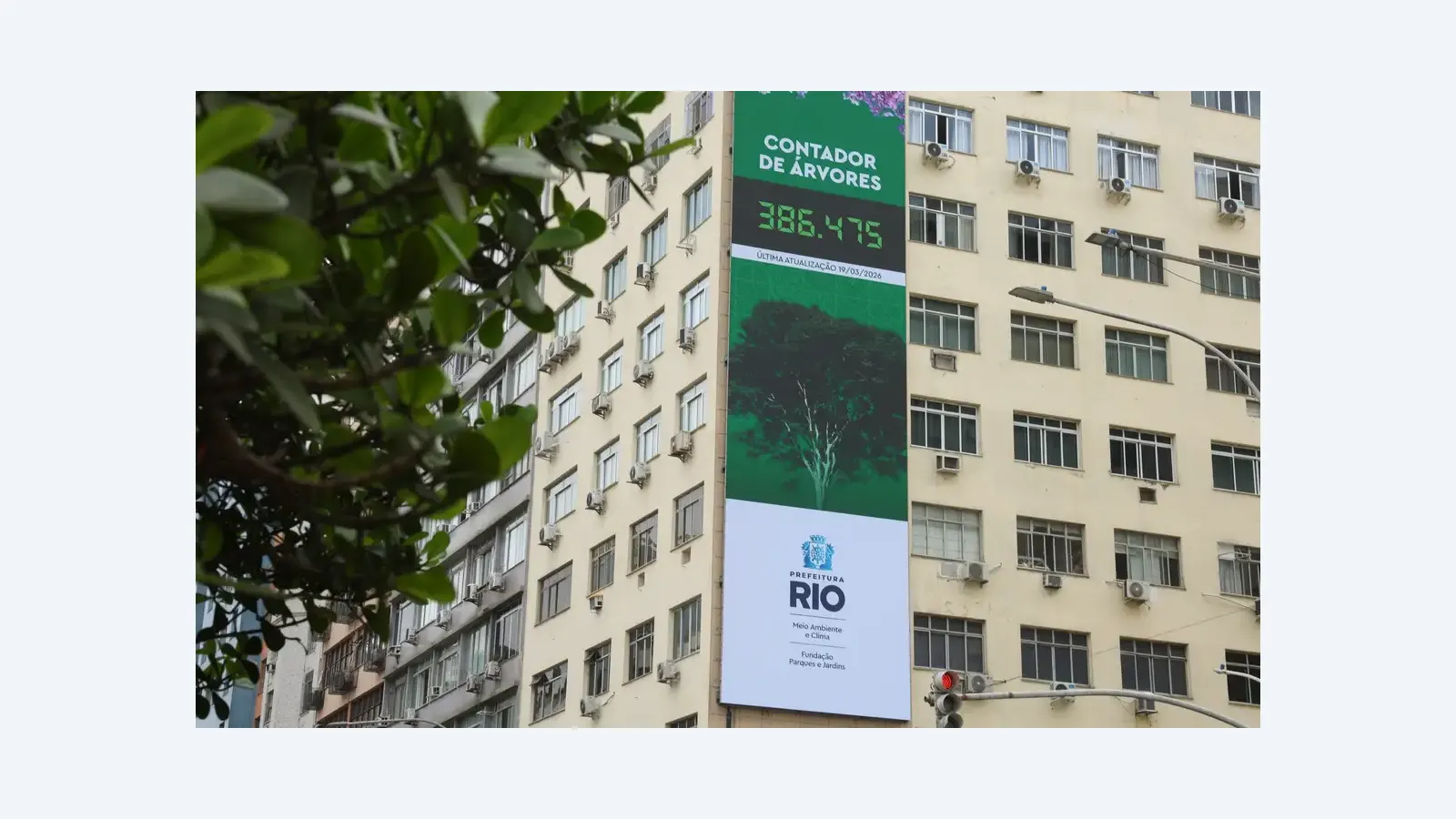 Rio lança painel digital para monitorar o plantio de árvores na cidade