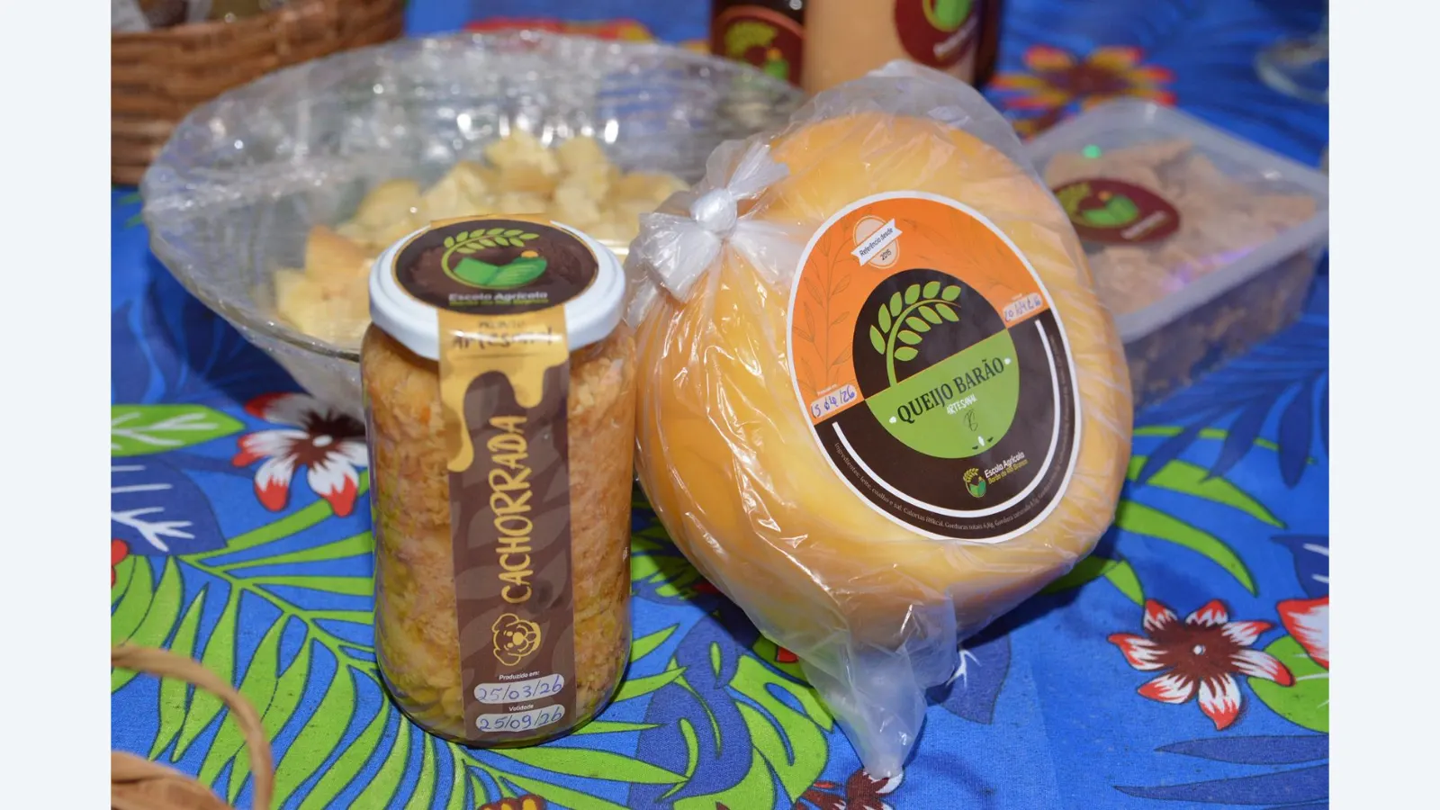 Festa do Queijo de Rochedinho começa hoje com entrada gratuita e atrações culturais