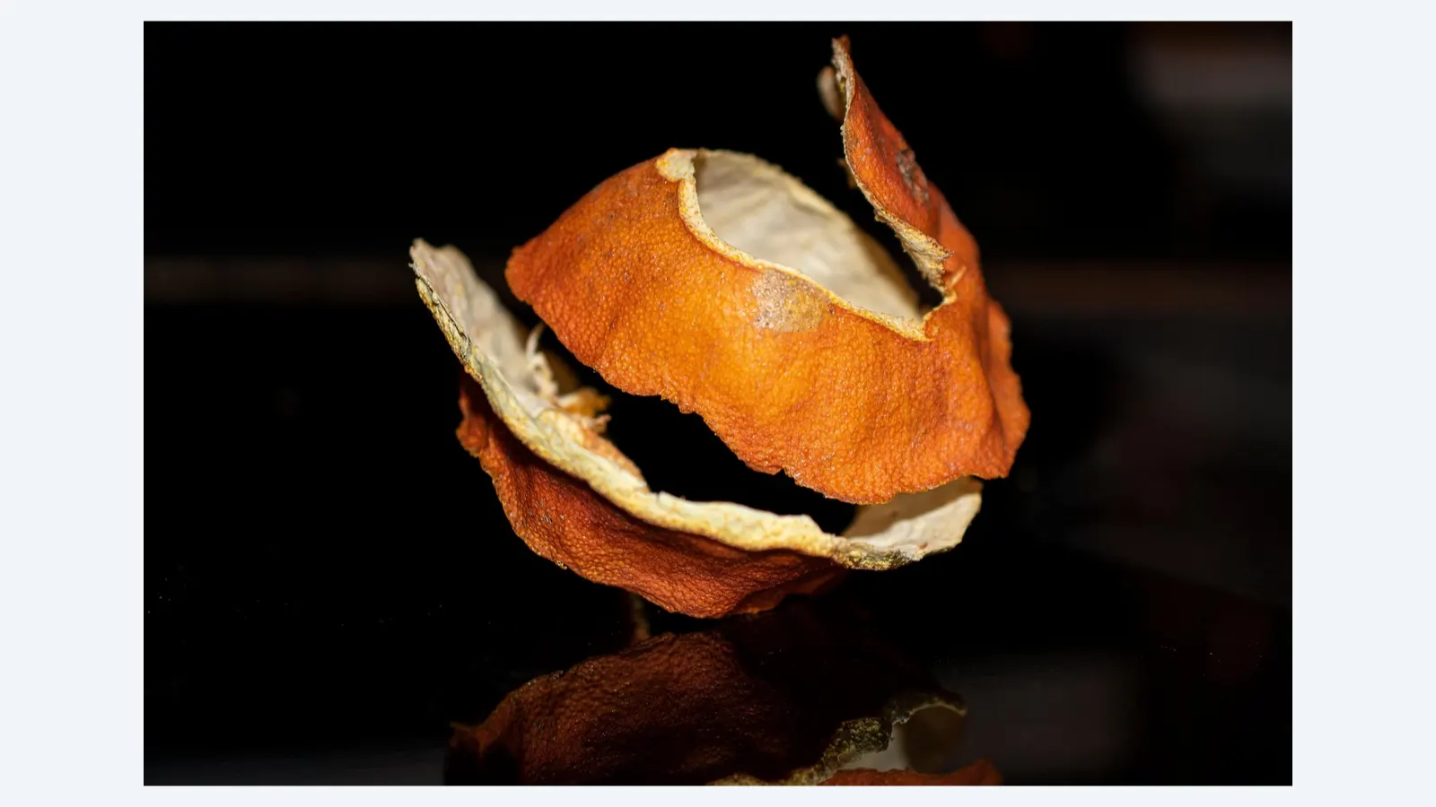 Resíduos de Laranja: Pesquisa Revela Potencial de Compostos Bioativos