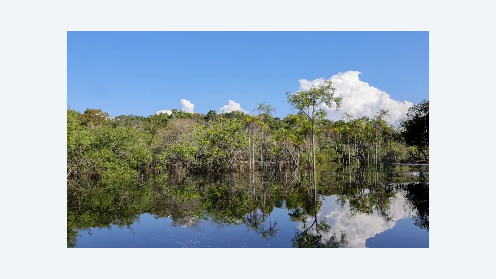 Brasil mobiliza R$ 179 bi para acelerar transição ecológica até 2026