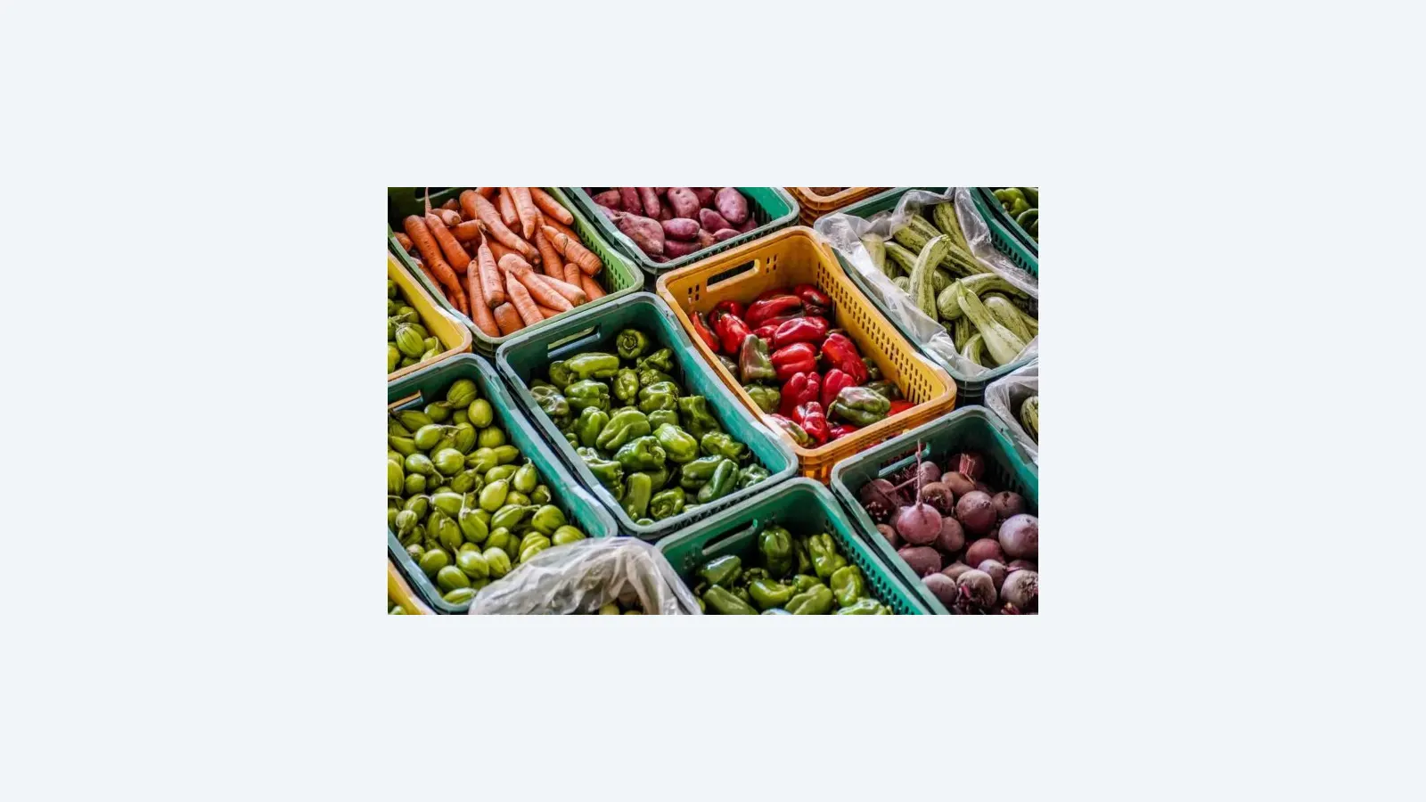 SES Lança Painel para Monitorar Situação Alimentar em MS no Dia Mundial da Alimentação