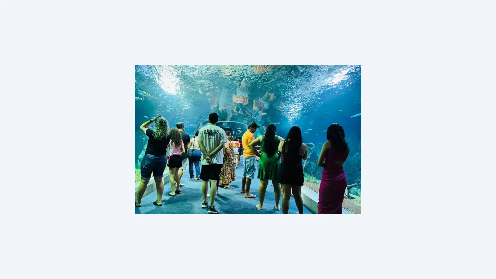 Bioparque Pantanal Sedia 49º Congresso Nacional de Zoológicos e Aquários