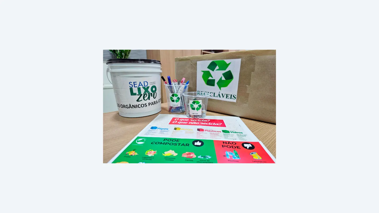 Procon MS celebra 40 anos com foco em sustentabilidade e inovação digital
