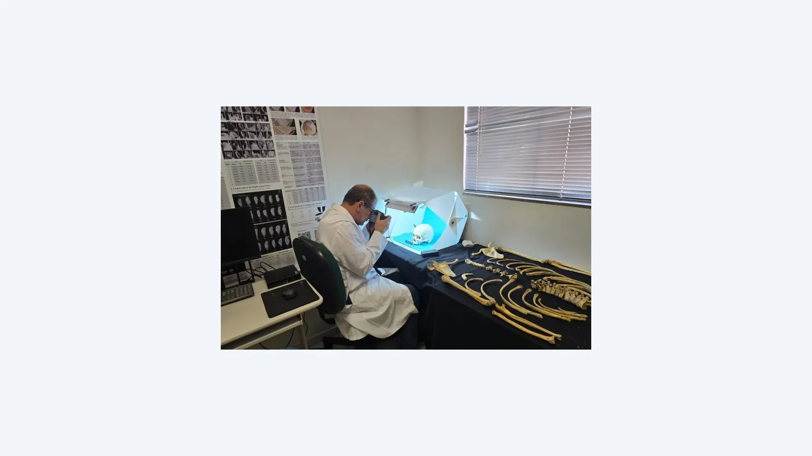 Avanços na medicina legal: entomologia forense em investigações criminais
