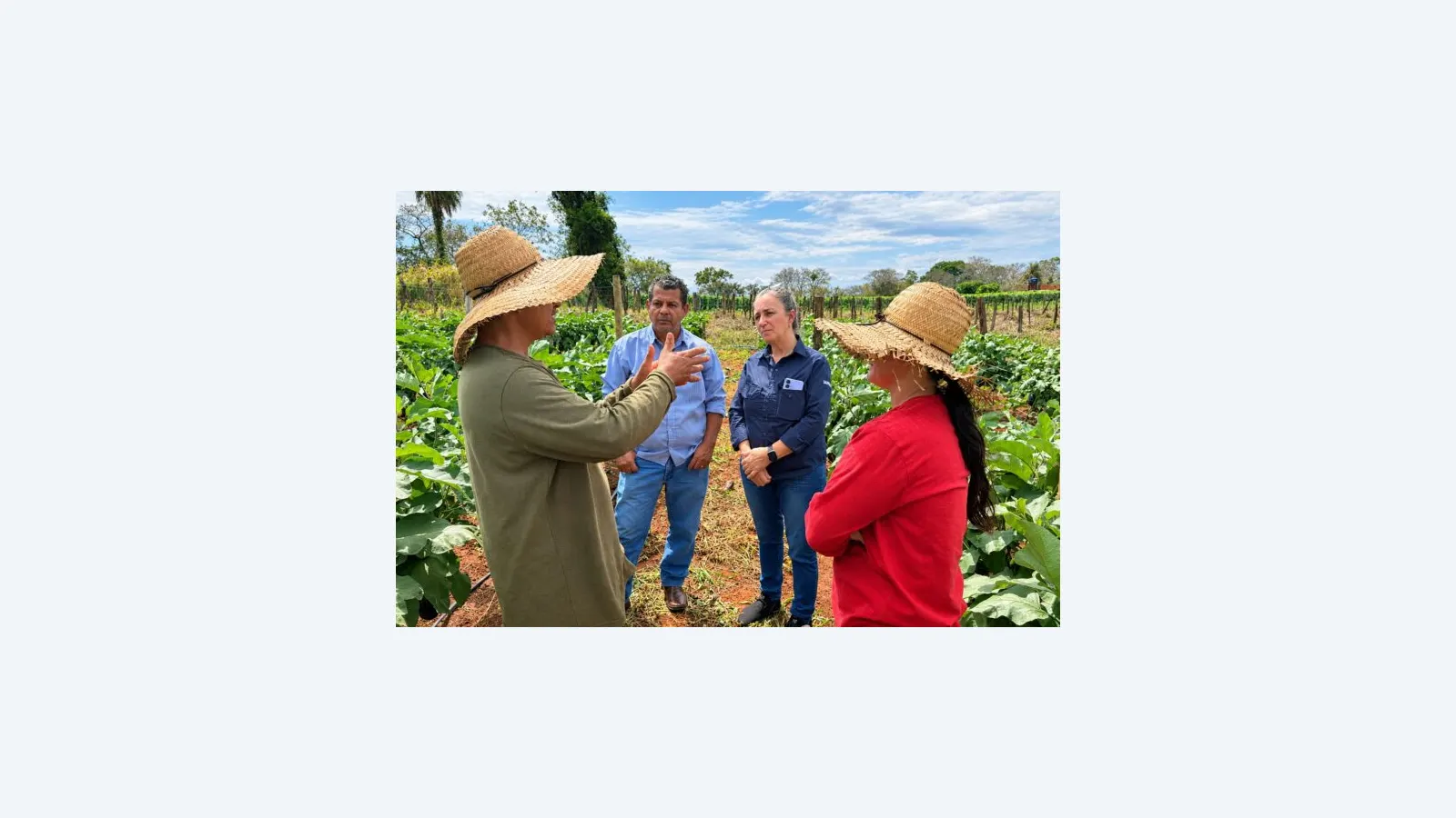 Agraer acompanha produção e comercialização de agricultores familiares em Jaraguari